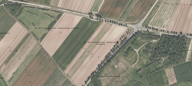 Lageplan Obstbäume Lageplan Obstbäume
