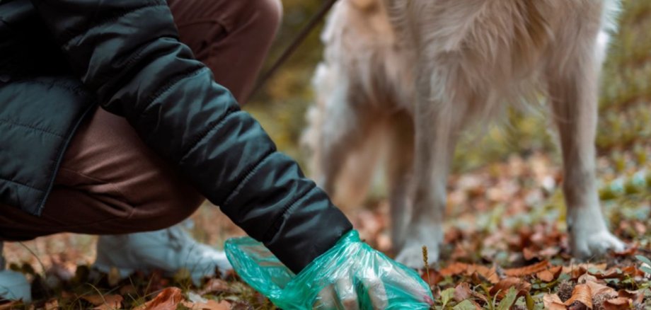 Hundekot beseitigen