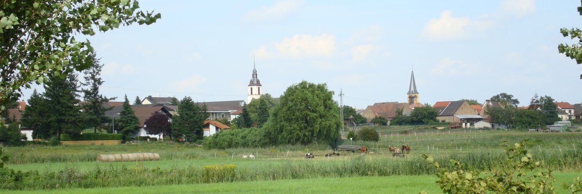 Römerberg Panorama