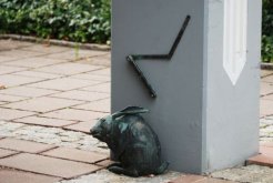 Sandhase am Bürgerhaus