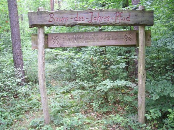 Baum des Jahres Pfad